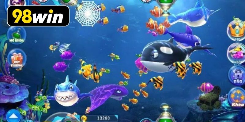 Chiến thuật săn cá hiệu quả cho thành viên