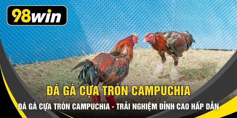 Đá Gà Cựa Tròn Campuchia