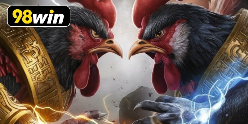 Gà peru cựa dao với bộ lông óng mượt đẹp mắt