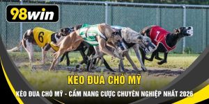 Kèo Đua Chó Mỹ